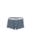 Boxer